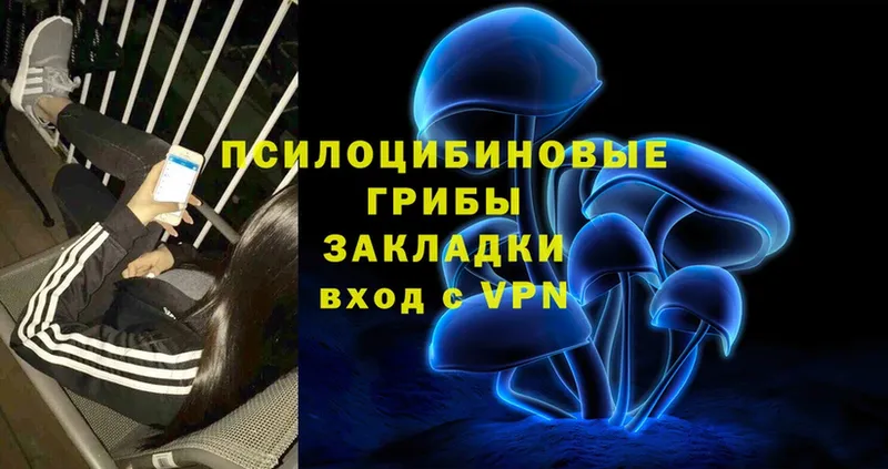 Галлюциногенные грибы Psilocybine cubensis  MEGA tor  Павлово 